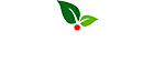 Diivo 